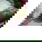 ratu rania profile icon