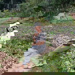 Tranly Wachirintrawat profile icon