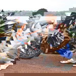 หมู โจ๊ก profile icon