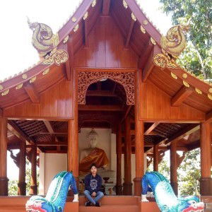 Tim Wilavan profile icon