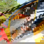 ฟิล์ม ดื้อ'อ profile icon