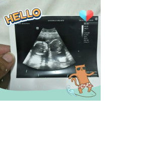 nisa mohd profile icon