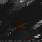 Шащчззӏодераӏапба Пбпӏ Ьаы profile icon