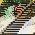 Emily Đỗ profile icon