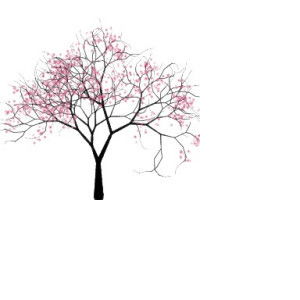 Miss Sakura profile icon