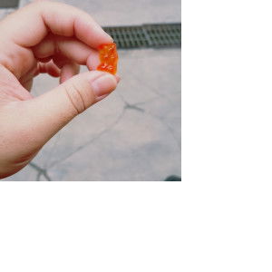 Rapunzel profile icon