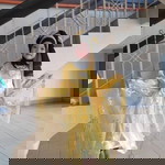 Needa Hadi profile icon