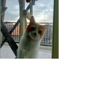 Saktiiii profile icon