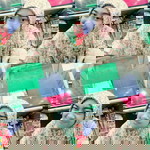 Anita Purnama Sari profile icon