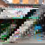 Nur Halimah profile icon