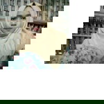 tri utami profile icon