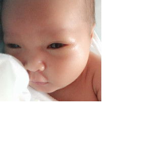 Phoebe Moraine profile icon