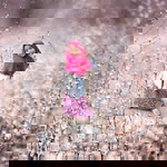 Afiqa Ainiya Azmi profile icon