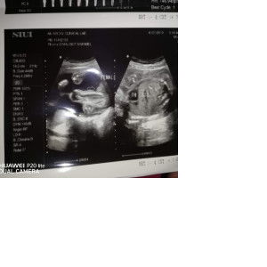 Ysabella Marie profile icon