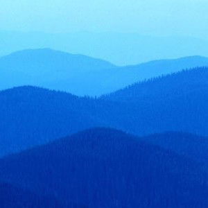 Syarafina Salim profile icon