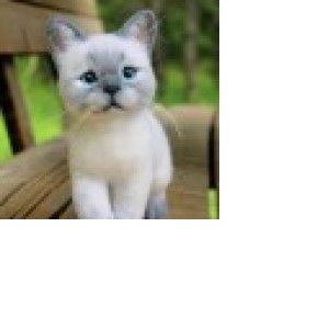 Rhonrissa Gonzales profile icon