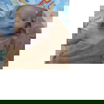 Zulfa Ayu Afdhilla profile icon