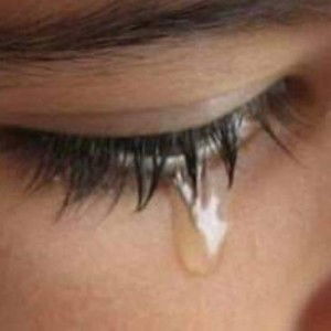 Nozaut  Raq profile icon