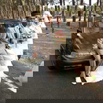 Nor Aining Mosadi profile icon