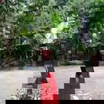 Ana Rose Tapagay Masukat profile icon