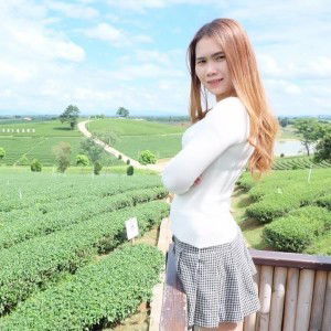 Pornpimol Sammo profile icon