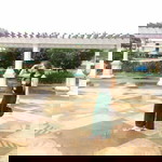 Despi Fiona Lily profile icon