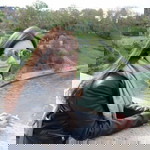 Nuii Tippayarat profile icon