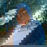 fatin adila ahmad marsidi profile icon