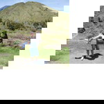 Shobihah Novitasari profile icon