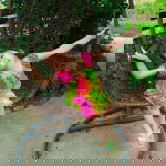 รัฏฐ์ธินิดา โนวรรณณา profile icon