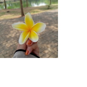 Fitri Utami profile icon