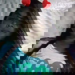 Jhezza Flores Arcenal profile icon