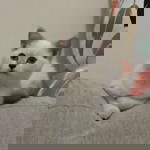 Edgar Banayat profile icon