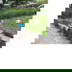 Diệp profile icon