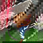 Junhorm Satorn profile icon
