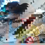 Janjira P Nilsen profile icon