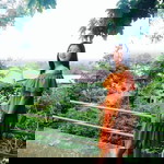 Nanchutima Rabiab profile icon