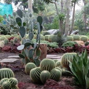 Elin Karlina Syuryana profile icon