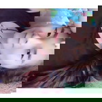 สุภามาศ หอมพิม profile icon