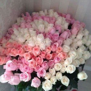 ตัวเล็ก profile icon