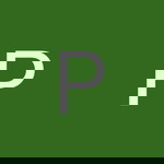 Paien Fara profile icon