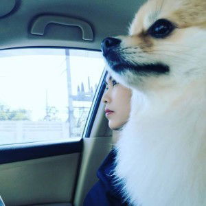 KungTen Warawara profile icon