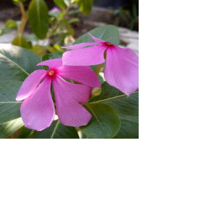 titik andrianti profile icon