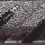 Lucyana Damayanti Hermawan profile icon