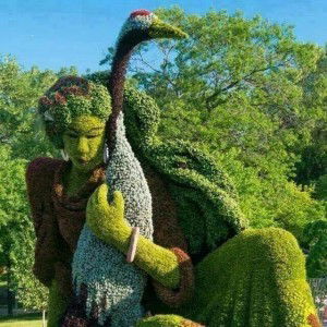 Jubaedah profile icon