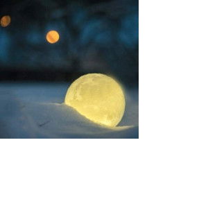 มะลิ profile icon