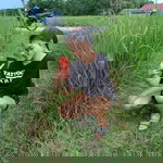 เกต 'ต profile icon