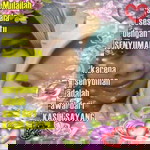 Annieza Raffael Mikazuki Hime profile icon