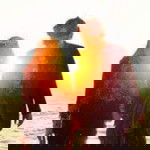 NUR AZIMAH ABDUL AZIZ profile icon