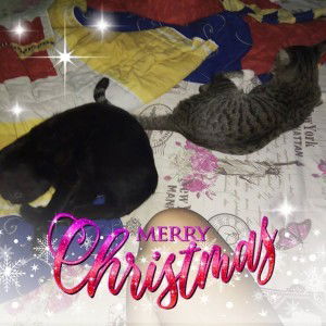 ชลินทรา พัฒนารุ่งกิจ profile icon